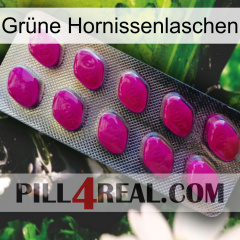 Grüne Hornissenlaschen 09